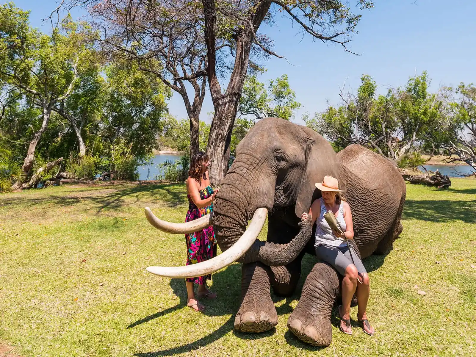 Elephant Café Livingstone Zambia open-air deck Zambezi River Victoria Falls dining experience