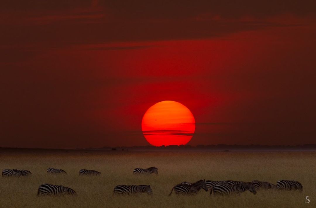 Africa in Pictures