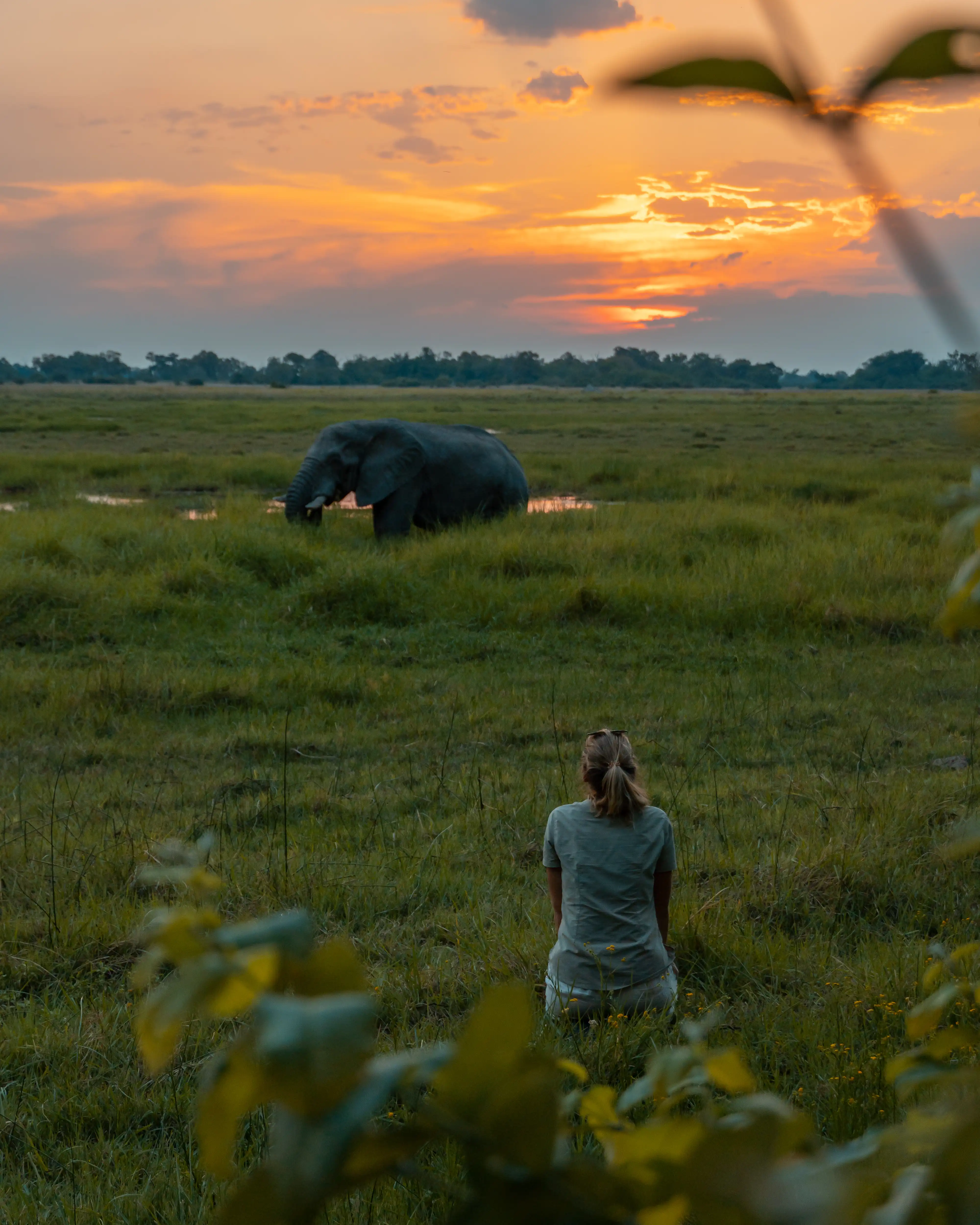 Tourist spotting an elephant in an African Safari